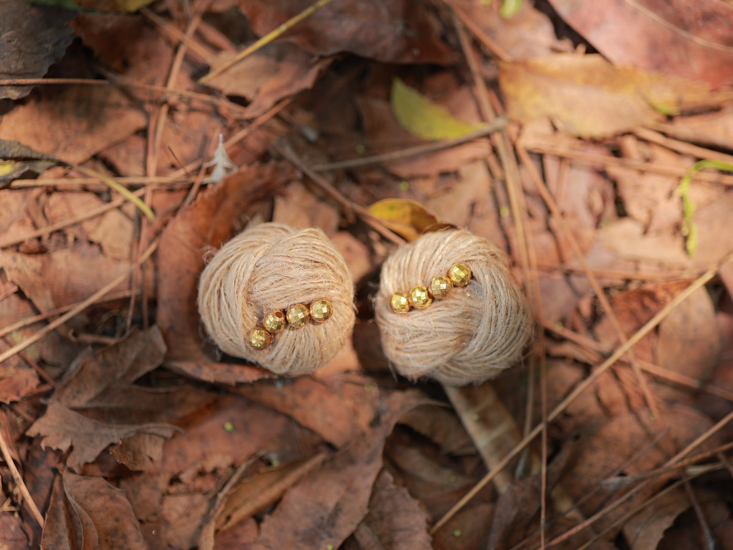 Golden Nest